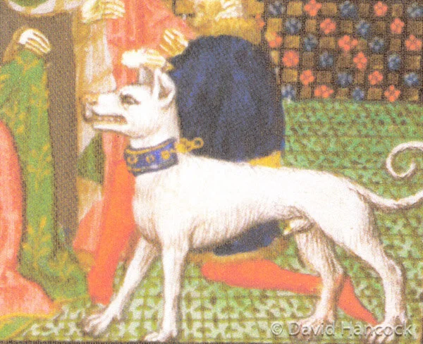 Alaunt deals